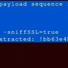 HTTPS no es suficiente: consiguen obtener datos cifrados en 30 segundos.